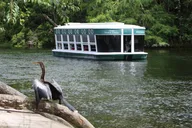 Silver Springs Kayak and Paddle Rental thumbnail 6