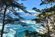 San Francisco 5-Day Tour with Unique Experiences thumbnail 3