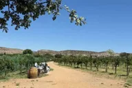 Sedona Wine, Beer & Beyond Tasting Tour 5 hr thumbnail 1