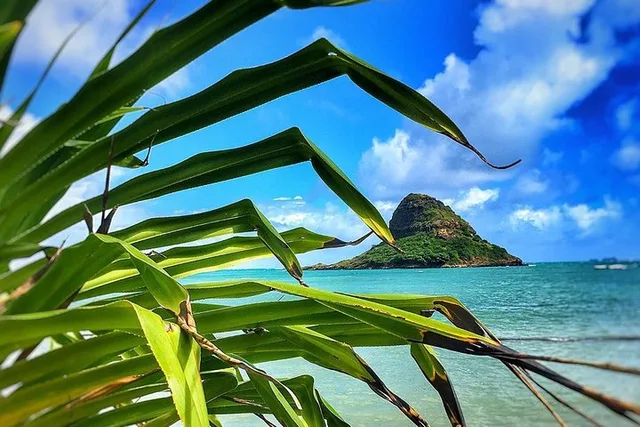 Oahu Circle Island Jeep Tour - Image 6