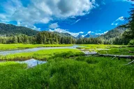 Sitka Private Tour Beyond the Dock 3 hr thumbnail 1