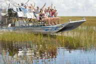 Miami Everglades, Bay Cruise & Open-Top Bus Tour thumbnail 5