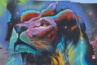 Denver RiNo Evening Food Tour thumbnail 5