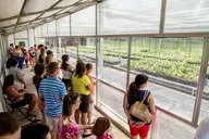 Wadmalaw Island Trolley Tour thumbnail 6