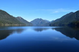 Seattle Rainforest and Olympic National Park Tour