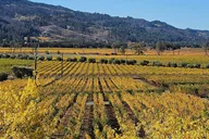 Napa Valley Private Wine Tour thumbnail 2