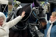 New York City Central Park Horse Carriage Ride thumbnail 2