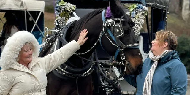 New York City Central Park Horse Carriage Ride - Image 2