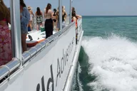 Key West Sandbar Adventure with Drinks thumbnail 2