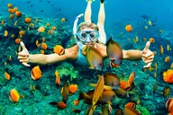 Ma'alaea Turtle Town Snorkel Cruise thumbnail 4