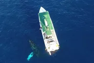 Kaanapali Beach Private Charter to Lanai thumbnail 1