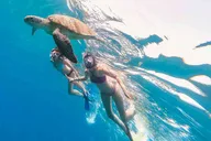 Honolulu Snorkeling Adventure thumbnail 3