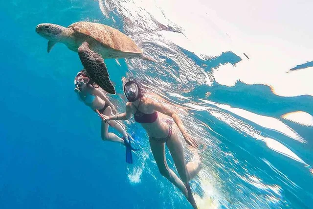 Honolulu Snorkeling Adventure - Image 3