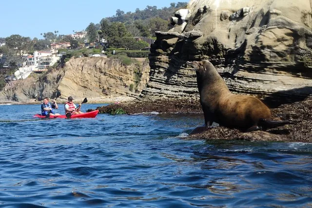 La Jolla Kayak Rental - Image 1