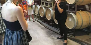 San Antonio Fredericksburg Wine Tour 7 hr