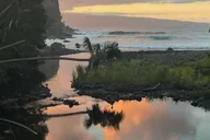 Maui Open-Air Blowhole & Banyan Forest Tour 2.5 hr thumbnail 4