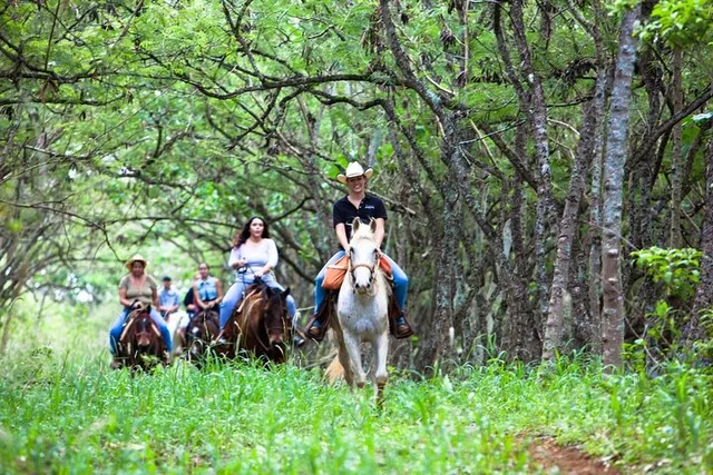 Oahu Horseback Ride at Sunset - Image 6