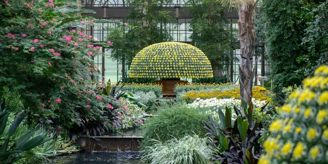 Philadelphia Longwood Gardens Holiday Lights Tour - Image 5