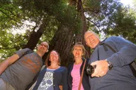 San Francisco Redwoods and Wine Private Tour 8 hr thumbnail 5
