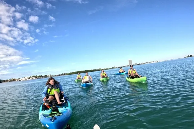 Sarasota Kayak Rentals and Wildlife Watch - Image 5