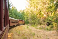 Mendocino Skunk Train Wolf Tree Turn Ride thumbnail 3