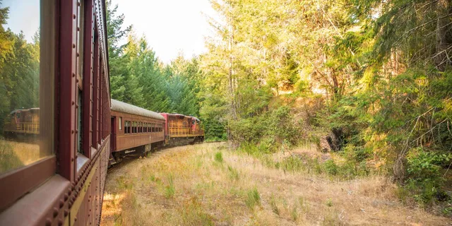 Mendocino Skunk Train Wolf Tree Turn Ride - Image 3