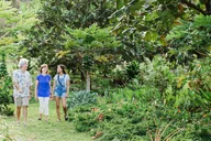 Kauai McBryde Garden Self-Guided Visit 2.5 hr thumbnail 2