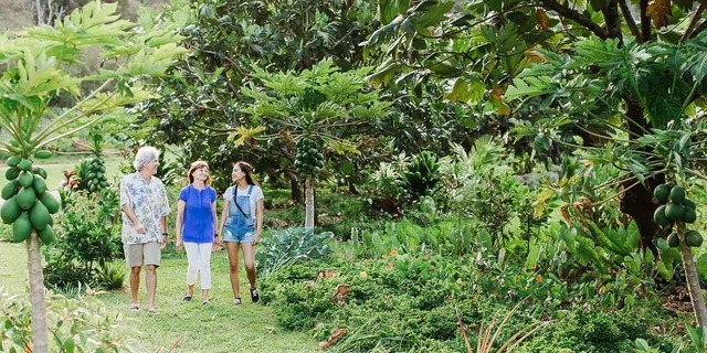 Kauai McBryde Garden Self-Guided Visit 2.5 hr - Image 2