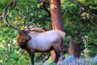 Denver Hiking Tour in the Rocky Mountains thumbnail 1