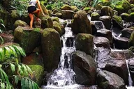 Kauai Wailua River Kayak and Waterfall Adventure thumbnail 4