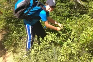 Glacier National Park Nature Walk thumbnail 4