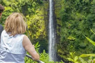 Hilo Gardens and Waterfalls Tour thumbnail 5