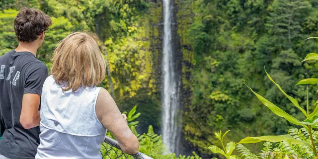 Hilo Gardens and Waterfalls Tour - Image 5