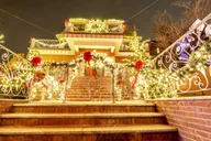 New York City Christmas Lights Tour in Dyker Heights thumbnail 5