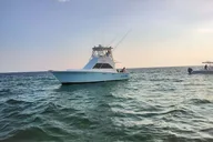 Panama City Beach Dolphin Sightseeing Tour 2 hr thumbnail 6