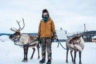 Fairbanks Reindeer Walking Experience 1 hr thumbnail 4