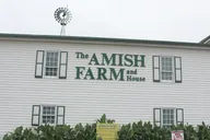 Washington D.C. Amish Farm and House Tour 8 hr thumbnail 1