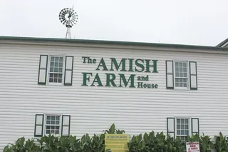 Washington D.C. Amish Farm and House Tour 8 hr