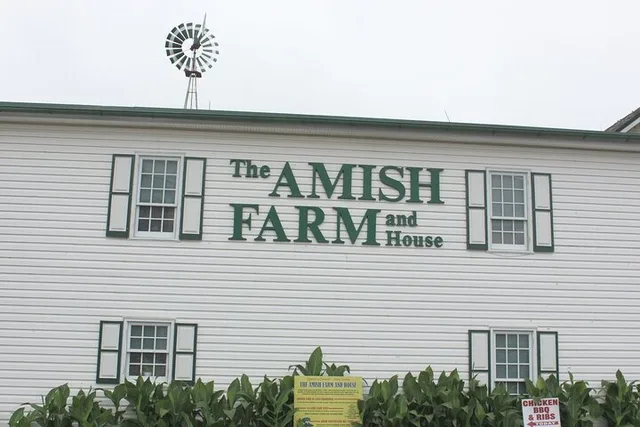 Washington D.C. Amish Farm and House Tour 8 hr - Image 1