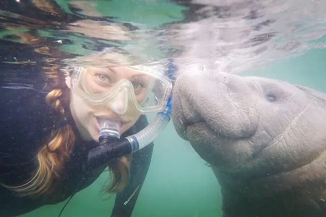 Crystal River Manatee Snorkel Tour with Guide - Image 2