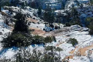 Las Vegas Zion National Park Group Tour 1 hr thumbnail 5