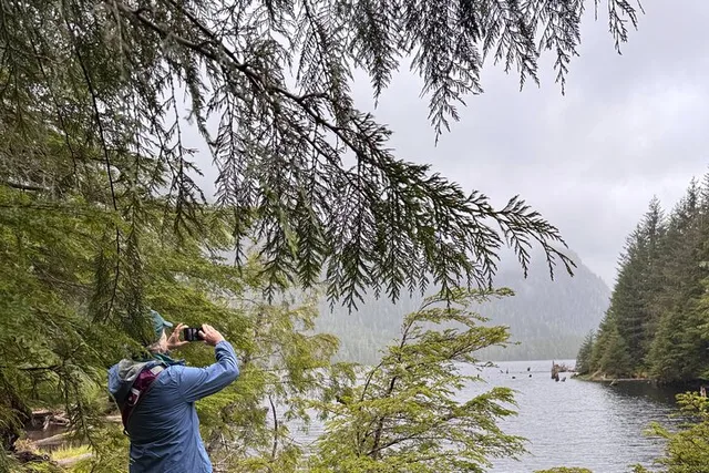Ketchikan Rainforest Hike Connell Lake 3.5 hr - Image 4