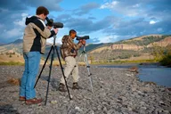Yellowstone Wildlife Adventure in Lamar Valley at Sunrise thumbnail 4