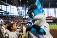 Miami Marlins Baseball Game at LoanDepot Park thumbnail 4
