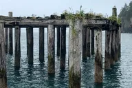 Seward Kayak and Hike to Historic WW2 Army Fort thumbnail 3