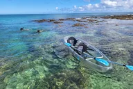 Haleiwa Clear Bottom Kayak Tour with Turtles 2 hr thumbnail 1