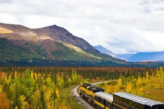 Anchorage to Denali Train Journey