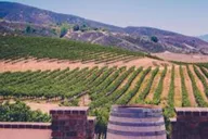 Los Angeles Wine Tour to Temecula thumbnail 4
