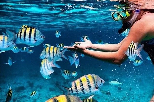 Key Largo Snorkeling and Sandbar Tour - Image 2
