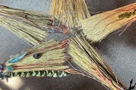 Salem Broom Making Workshop thumbnail 5
